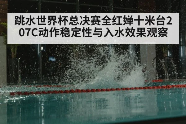 跳水世界杯总决赛全红婵十米台207C动作稳定性与入水效果观察